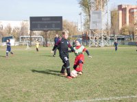 IMG_8558